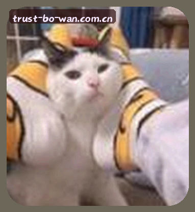 李昊